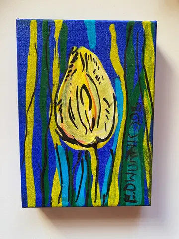 Tulipan